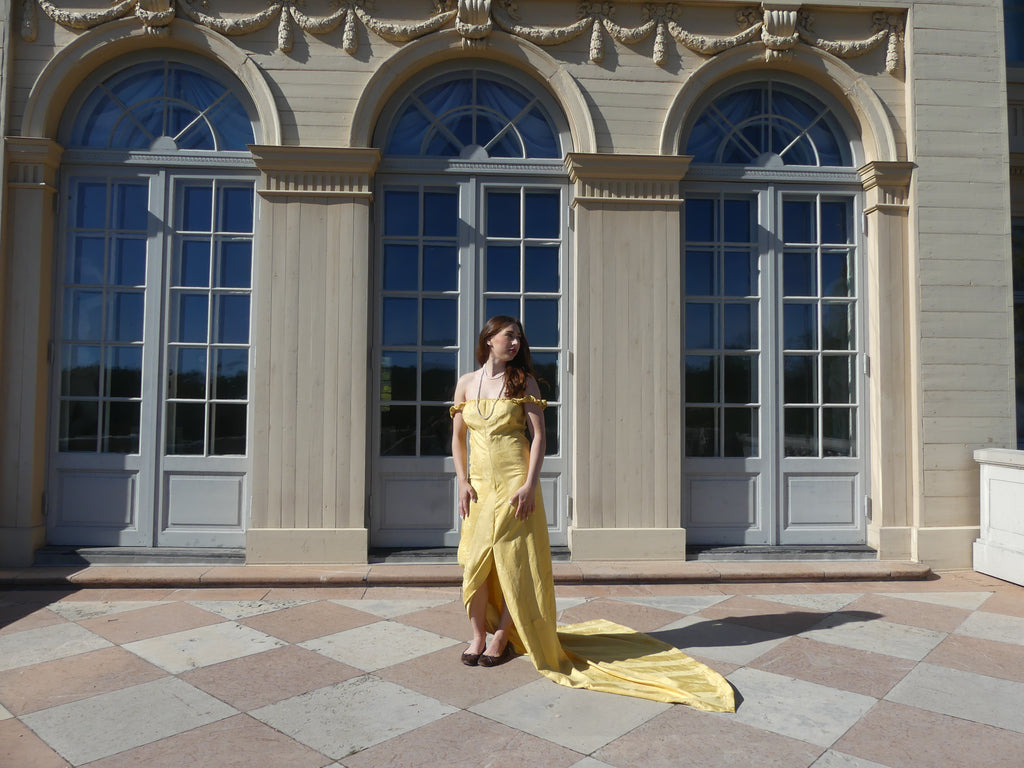 The Beauty Dress