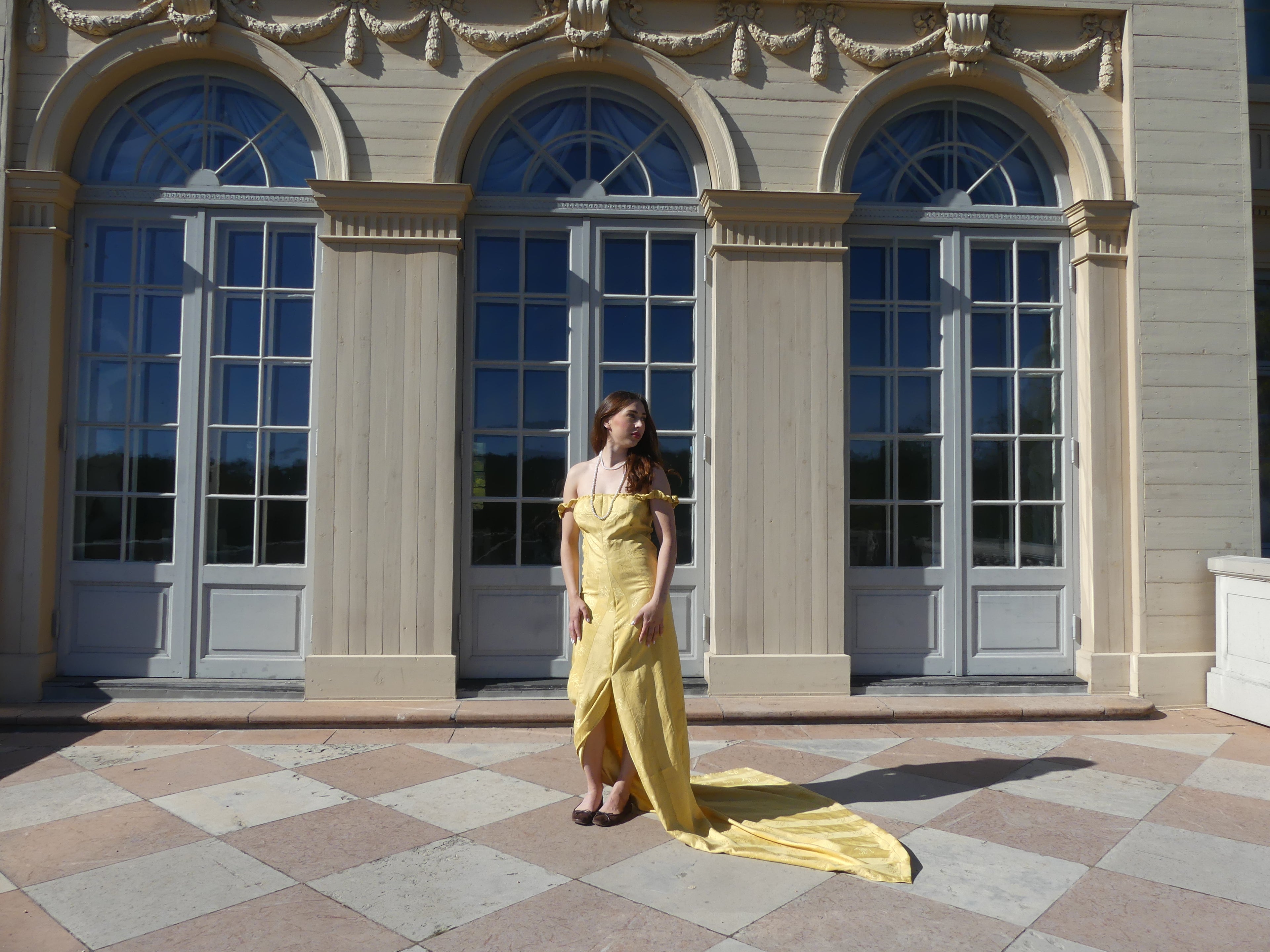 The Beauty Dress