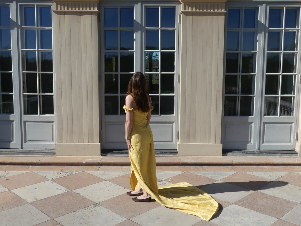 The Beauty Dress