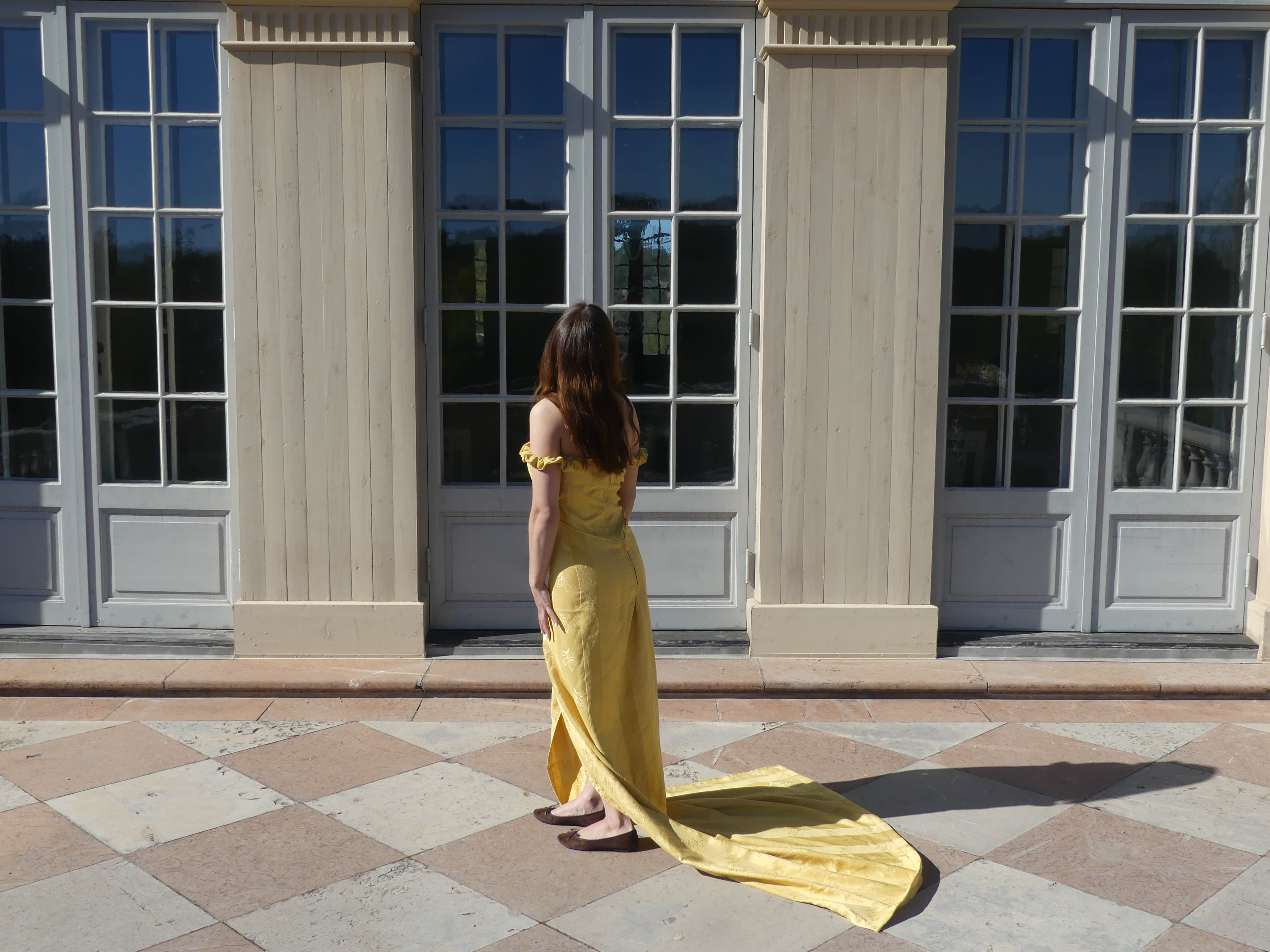 The Beauty Dress