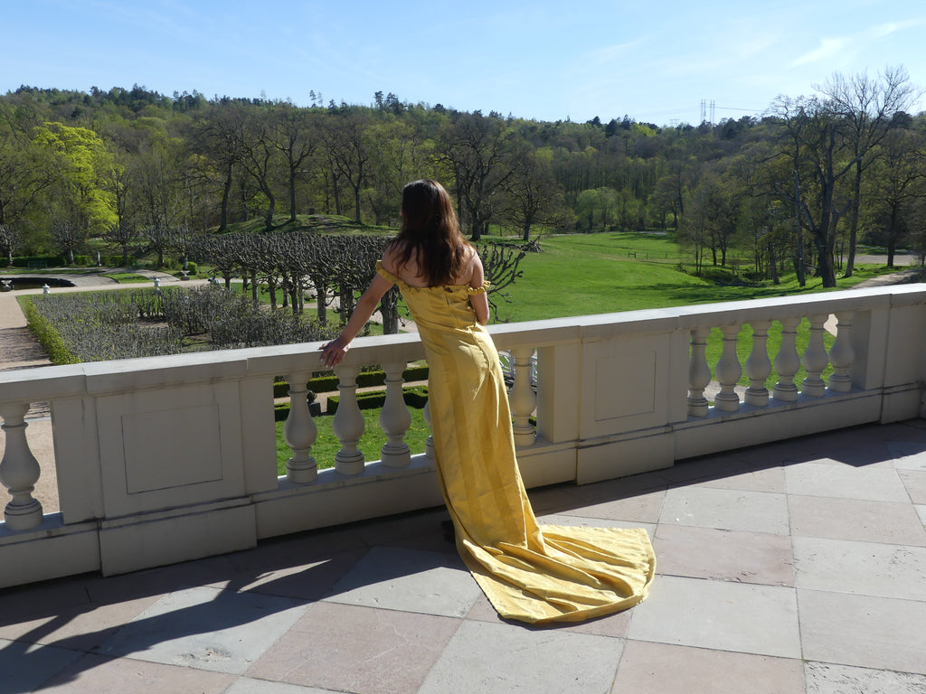 The Beauty Dress