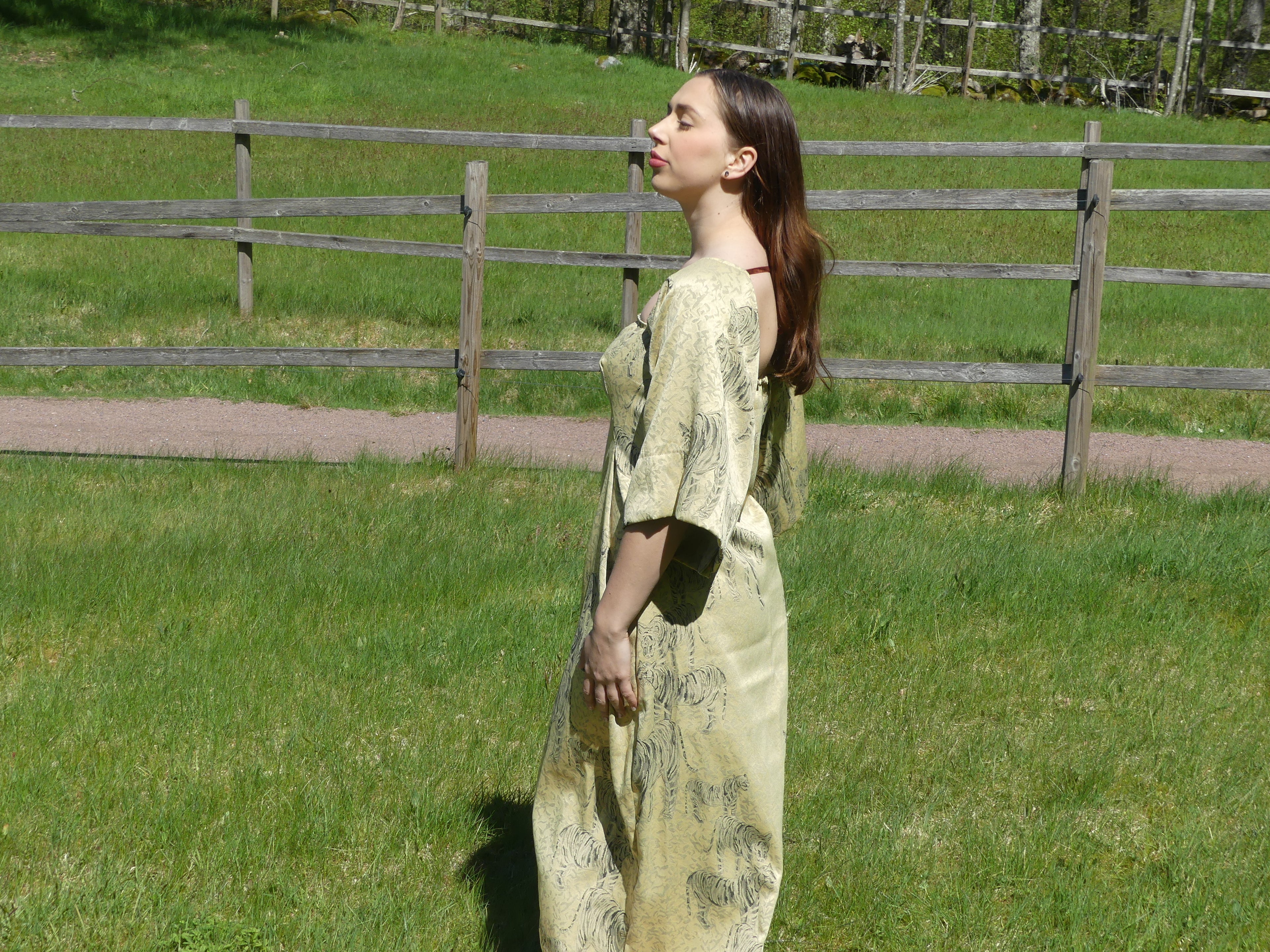 The Wild Tiger Dress